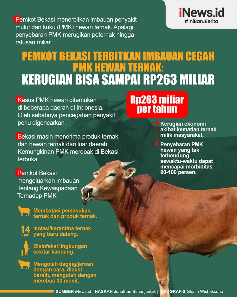 Infografis Pemkot Bekasi Terbitkan Imbauan Cegah PMK Hewan Ternak: Kerugian Bisa Sampai Rp263 Miliar
