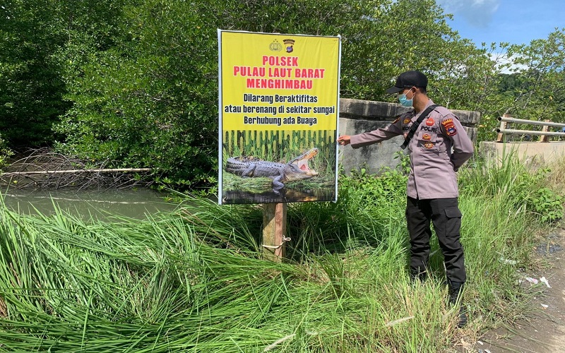 Buaya Semakin Kerap Muncul, Warga Diminta Tak Berenang di Sungai Kotabaru