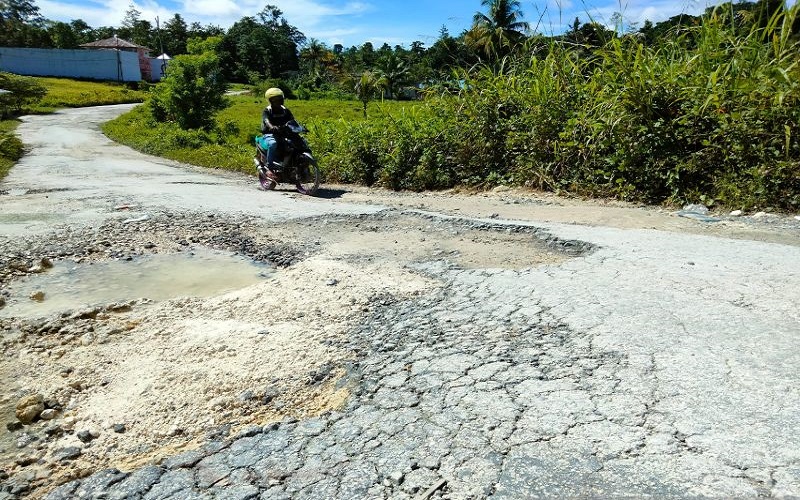 Bupati Sorong Selatan Sebut Jalanan di Wilayahnya Rusak akibat Aktivitas Muatan Kayu