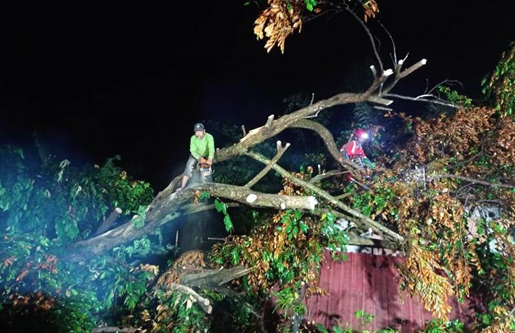 Hujan Angin Landa Seyegan Sleman, 2 Rumah Warga Rusak Tertimpa Pohon