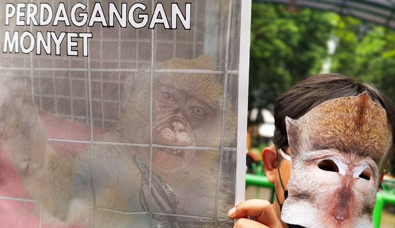 Aksi Koalisi Monyet Ekor Panjang Protes Perdagangan Satwa Liar - Bagian 3