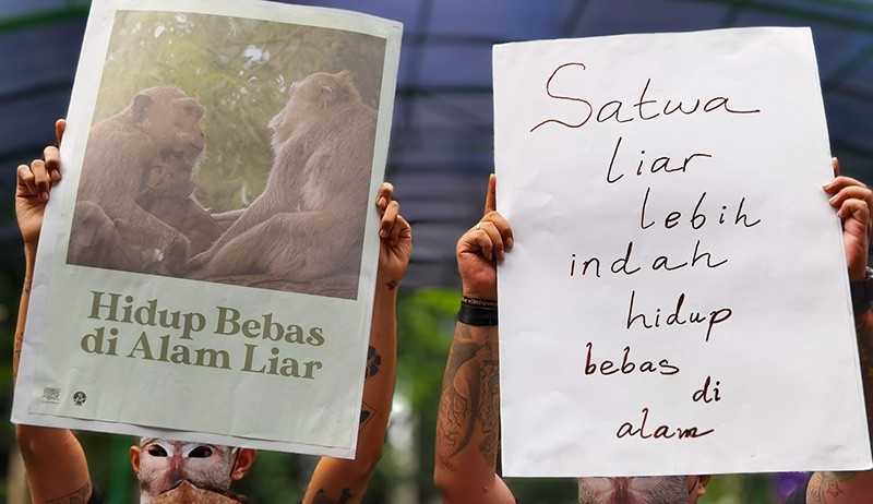 Aksi Koalisi Monyet Ekor Panjang Protes Perdagangan Satwa Liar - Bagian 2
