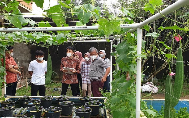 Dosen Unsri Kembangkan Pertanian Perkotaan di Palembang