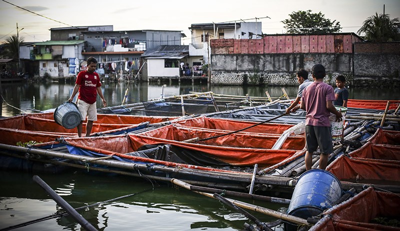 Potret Warga Kampung Apung Jakarta Bertahan Meski Rumah Terendam ...