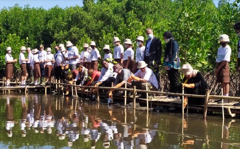 Pimpin Aksi Tanam Pohon dari Bali, Menko PMK: Jangan 10 Juta yang Ditanam Hanya Ratusan