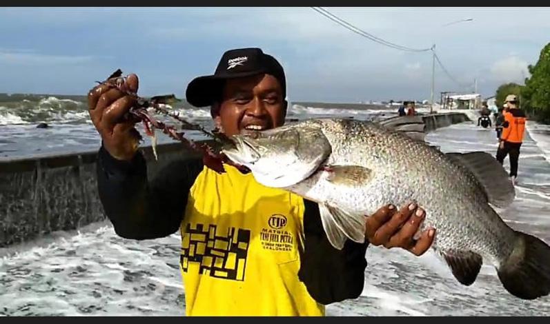 title Berkah Banjir Rob, Warga di Pesisir Pekalongan Panen Ikan Laut Terdampar ke Daratan Berkah Banjir Rob, Warga di Pesisir Pekalongan Panen Ikan Laut Terdampar ke Daratan