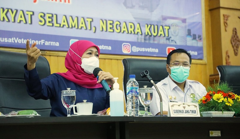 title Zona Hijau PMK, 15 Kabupaten-Kota di Jatim Bisa Suplai Sapi ke Daerah Lain Zona Hijau PMK, 15 Kabupaten-Kota di Jatim Bisa Suplai Sapi ke Daerah Lain