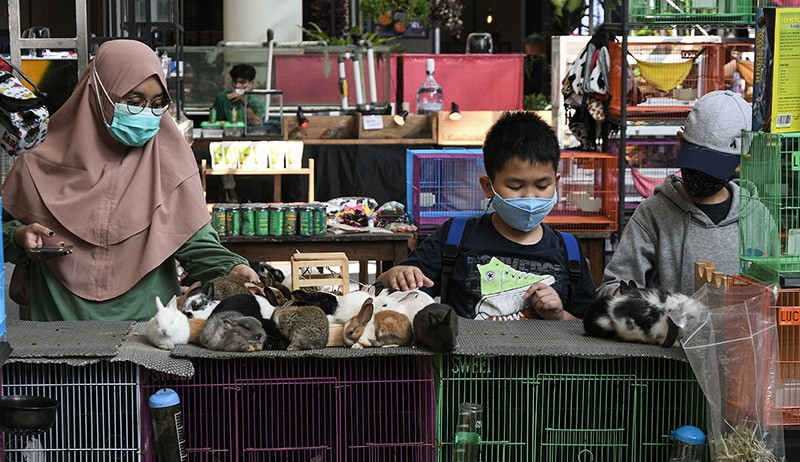 Pameran Hewan Peliharaan di Pusat Perbelanjaan - Bagian 1