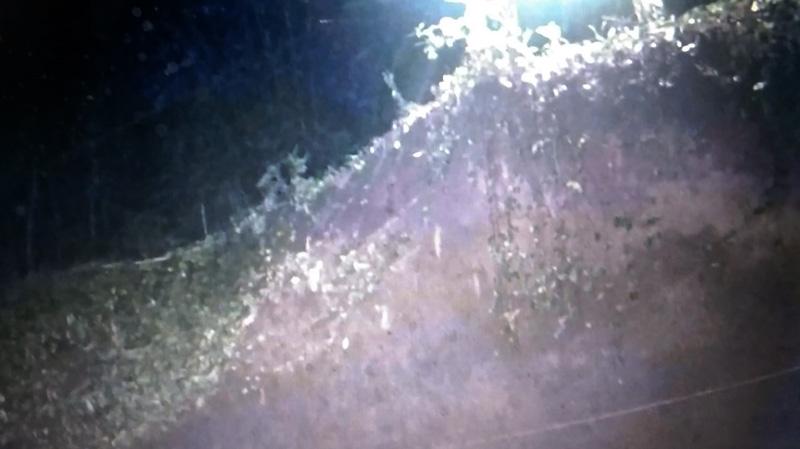 Tebing Longsor di Magelang, 1 Warga Tewas Tertimpa Material