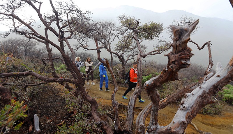 Pesona Gunung Ijen dengan Kawah Berwarna Hijau Toska - Bagian 3