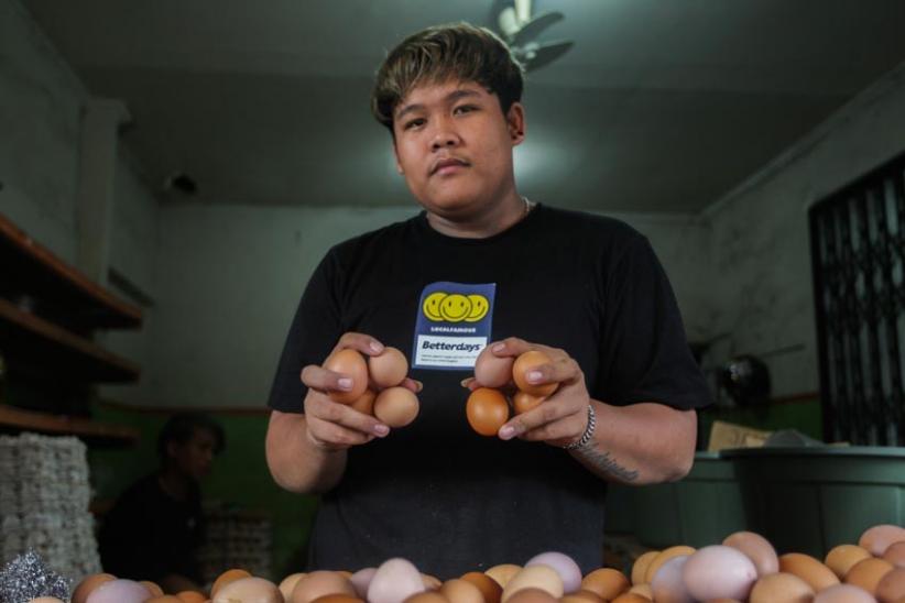 Permintaan Tinggi, Harga Telur Ayam Ras Tembus Rp28.000  - Bagian 4
