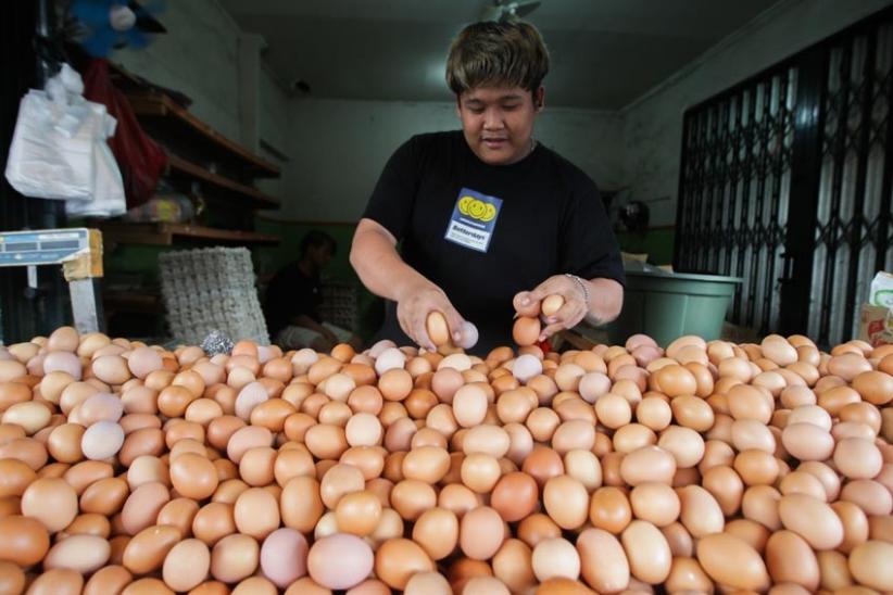 Permintaan Tinggi, Harga Telur Ayam Ras Tembus Rp28.000  - Bagian 2