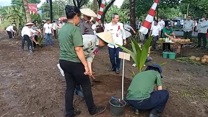 Gubernur Olly: Peremajaan Tingkatkan Produktivitas Tanaman Kelapa