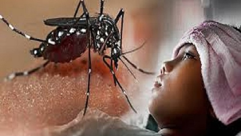Ratusan Warga Kuningan Terjangkit Demam Berdarah Dengue, 6 Meninggal Dunia