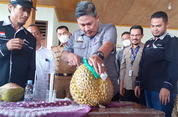 Peluang Ekspor Durian Terbuka, Kementerian Pertanian Genjot Produksi dan Luas Lahan