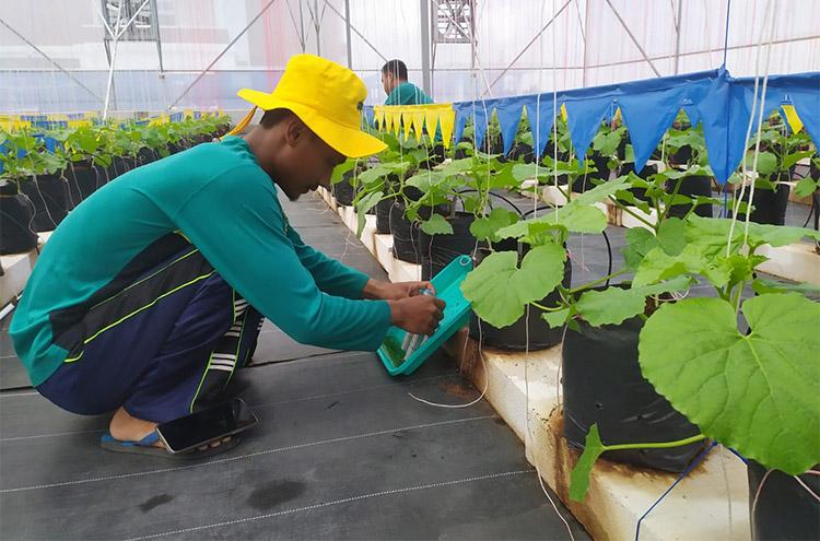 Gandeng JICA, UGM Hadirkan Fab Lab untuk Kembangkan Potensi UMKM