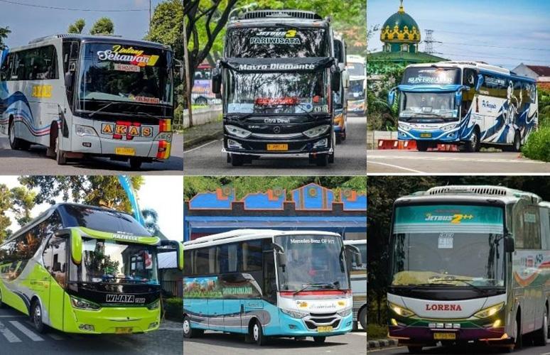 6 PO Bus Pakai Nama Pemiliknya, Nomor 5 Milik Perempuan Cantik Lulusan Kedokteran