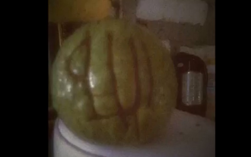 Viral Jambu Biji Bertulis Lafaz Allah, Ini Penampakannya