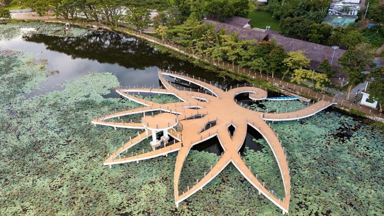 Ini 8 Daerah dengan Janda Terbanyak di Indonesia, Ada Garut dan Majalengka