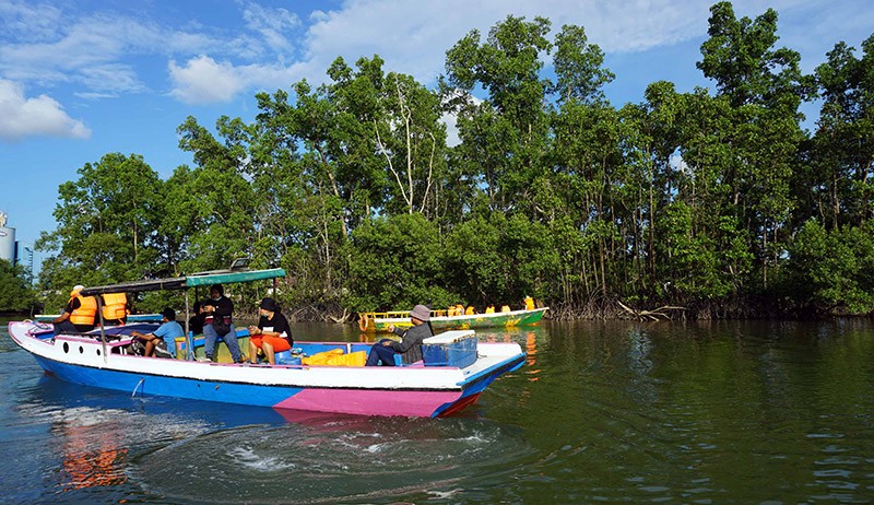 Menyusuri Teluk Balikpapan yang Dikelilingi Hutan Mangrove - Bagian 2