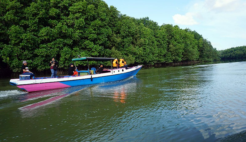 Menyusuri Teluk Balikpapan yang Dikelilingi Hutan Mangrove - Bagian 1