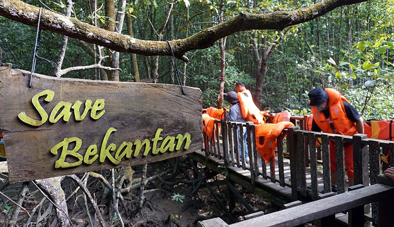 Menyusuri Teluk Balikpapan yang Dikelilingi Hutan Mangrove - Bagian 3