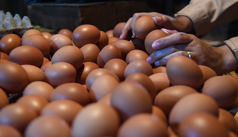 Kenaikan Harga Telur Ayam Sumbang Inflasi Mei 2022 yang Mencapai 0,40 Persen - Bagian 2