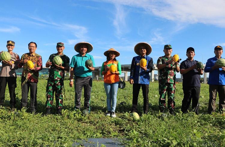 Manfaatkan Idle Lahan Bandara YIA, PT Angkasa Pura I Panen Semangka 50 Ton