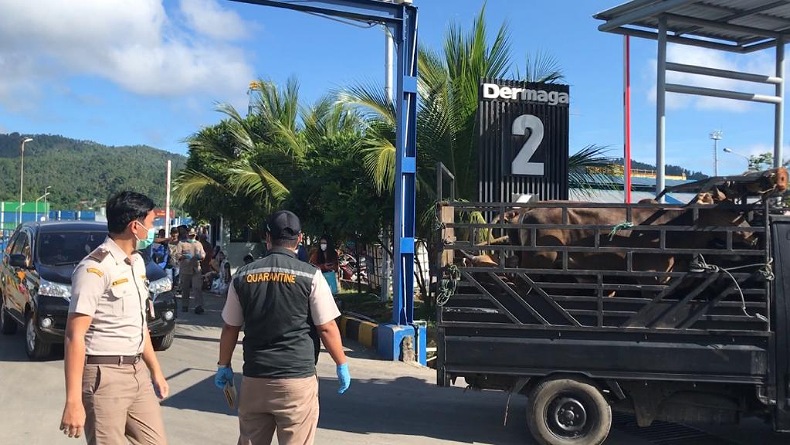 Perketat Lalu Lintas Hewan Ternak, Ketahanan Pangan Jelang Hari Raya Kurban Tetap Dijaga