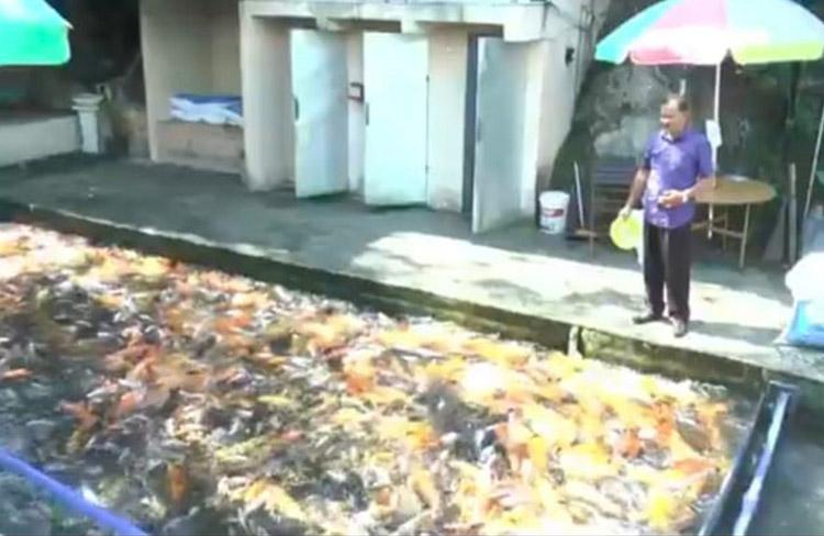 Viral, Sungai Kotor Penuh Sampah Disulap Jadi Destinasi Wisata Watergong 