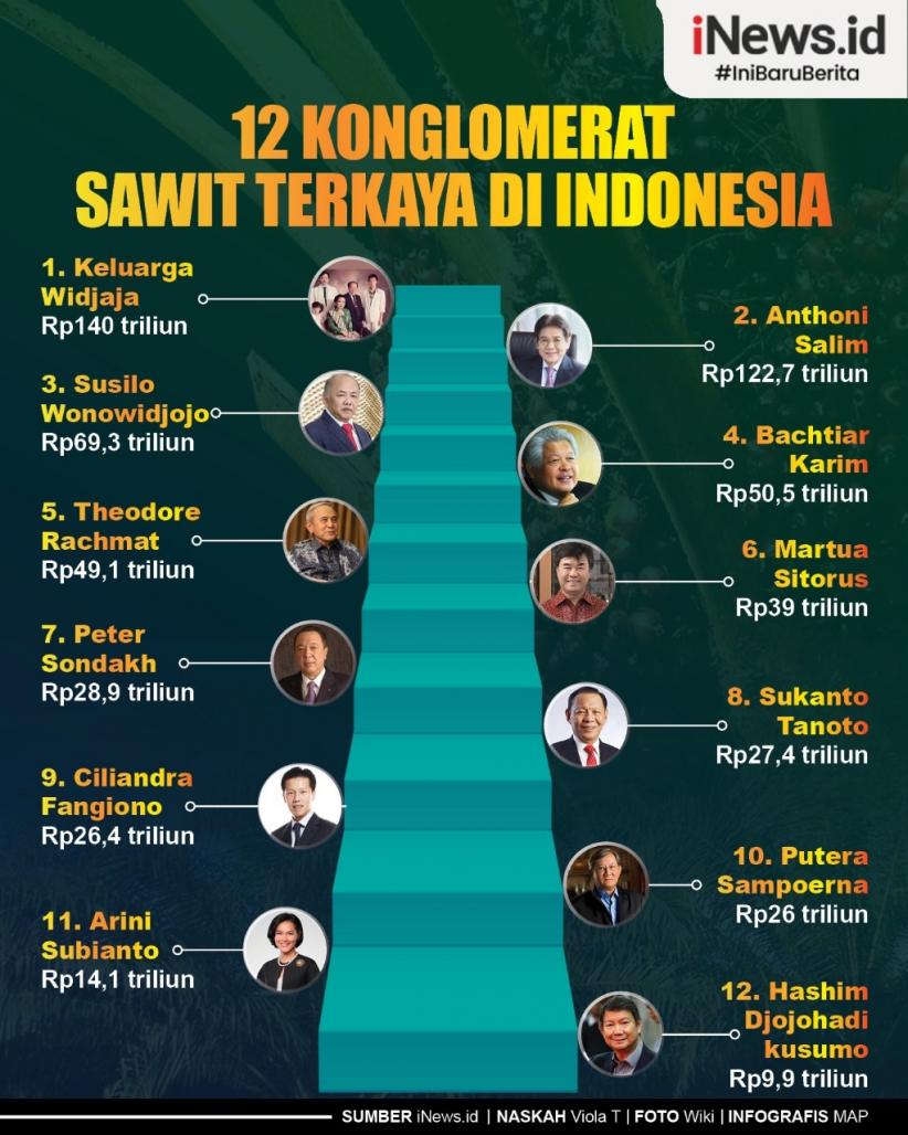 Infografis 12 Konglomerat Sawit Terkaya Di Indonesia