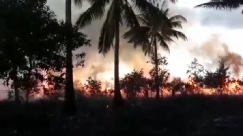 Lahan Seluas 10 Hektare Terbakar di Tanjung Sagu Natuna
