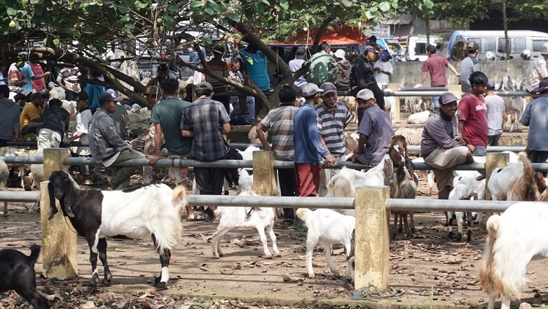 title 3 Pasar Hewan di Batang Kembali Dibuka Setelah Ditutup Sementara 14 Hari 3 Pasar Hewan di Batang Kembali Dibuka Setelah Ditutup Sementara 14 Hari