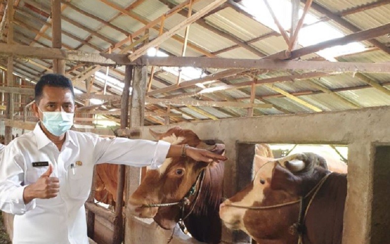 Pemkab PPU Perketat Lalu Lintas Ternak Cegah PMK