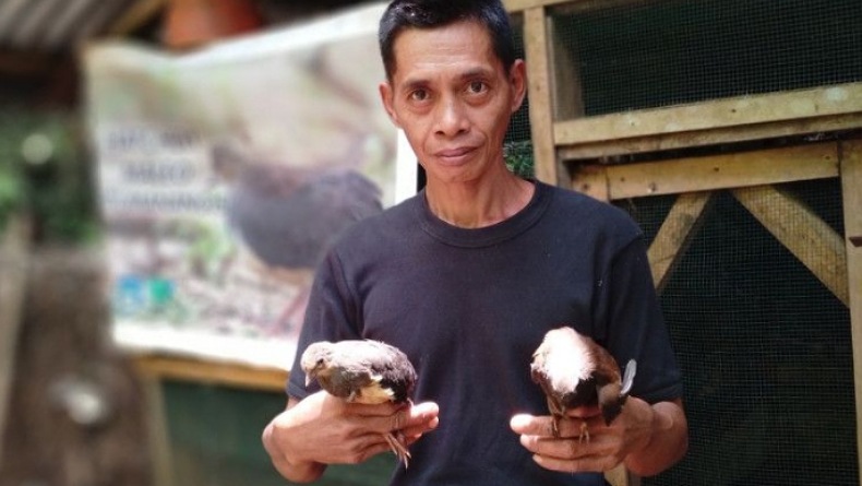 Kisah Mantan Pemburu Satwa dari Gorontalo dan Sulut di Hari Lingkungan Hidup