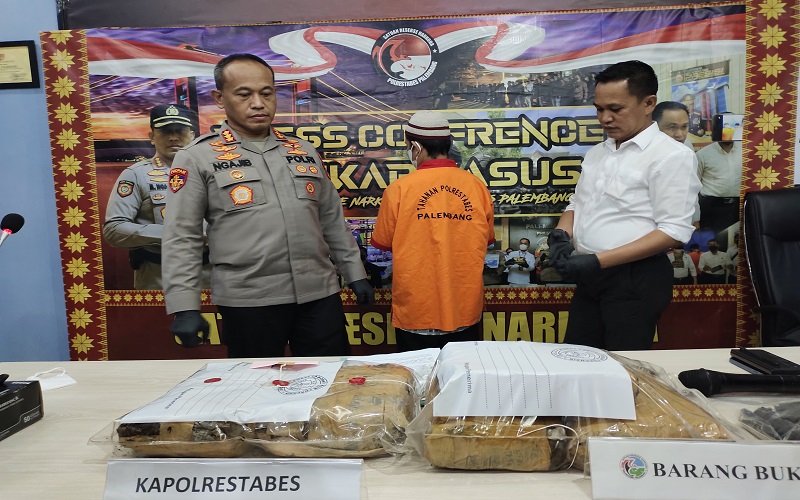 Kakek di Palembang Ditangkap Jual Ganja, Sebulan Habiskan 50 Kilogram 
