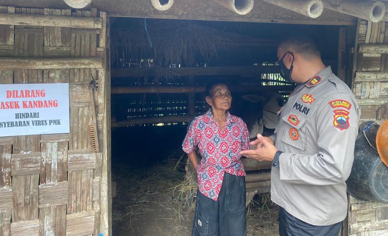  Cegah Penyebaran Wabah PMK, Polisi Pasangi Rambu di Kandang Ternak