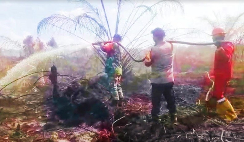 title Kebakaran Perkebunan Sawit di Rohul Meluas, 10 Hektare Lahan Dilalap Api Kebakaran Perkebunan Sawit di Rohul Meluas, 10 Hektare Lahan Dilalap Api