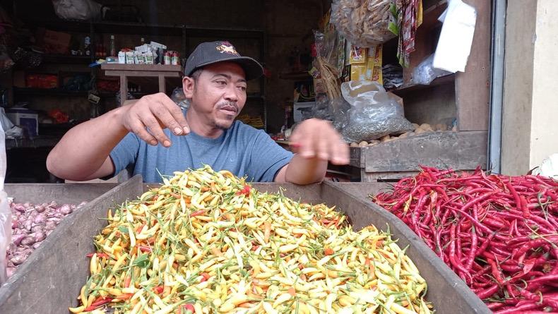 title Melonjak, Harga Cabai Rawit Lokal di Belitung Timur Tembus Rp120.000 per Kilogram Melonjak, Harga Cabai Rawit Lokal di Belitung Timur Tembus Rp120.000 per Kilogram