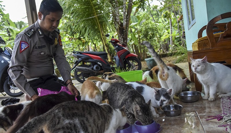 Foto Anggota Polres Ciamis Rawat Puluhan Ekor Kucing Berpenyakit Sampai Sembuh - Bagian 2