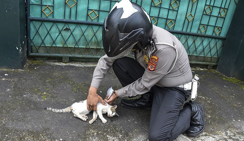 Foto Anggota Polres Ciamis Rawat Puluhan Ekor Kucing Berpenyakit Sampai Sembuh - Bagian 1