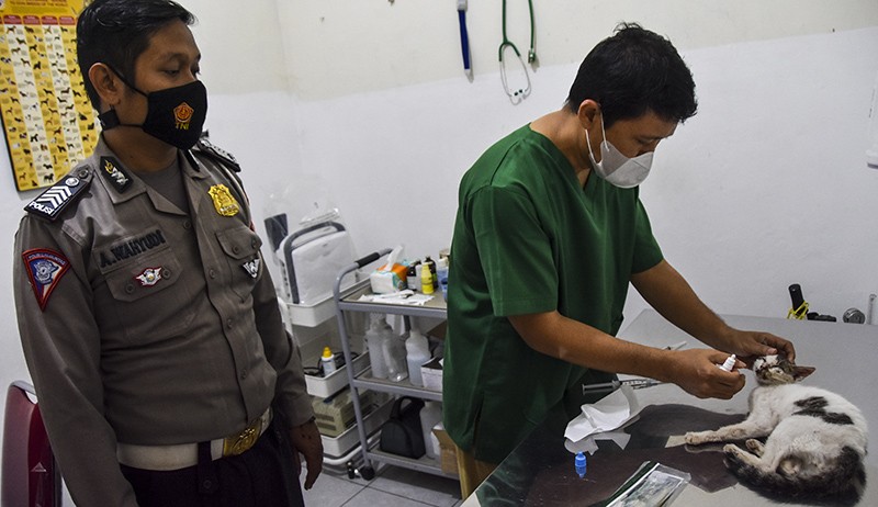 Foto Anggota Polres Ciamis Rawat Puluhan Ekor Kucing Berpenyakit Sampai Sembuh - Bagian 3