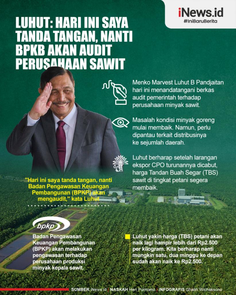 Infografis Luhut: Hari Ini Saya Tanda Tangan, Nanti BPKP Akan Audit Perusahaan Sawit 