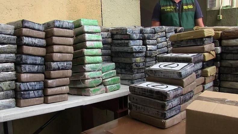 Polisi Sita 8 Ton Kokain dalam Pengiriman Buah Pisang, Nilainya Capai Rp4,6 Triliun