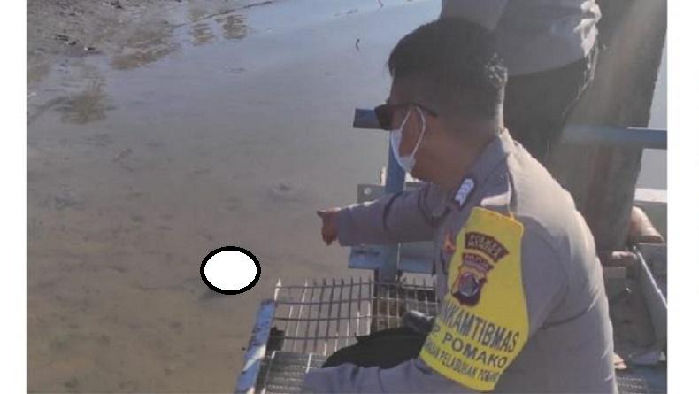 Mimika Gempar, Potongan Kaki Manusia Ditemukan di Dermaga Poumako Timika