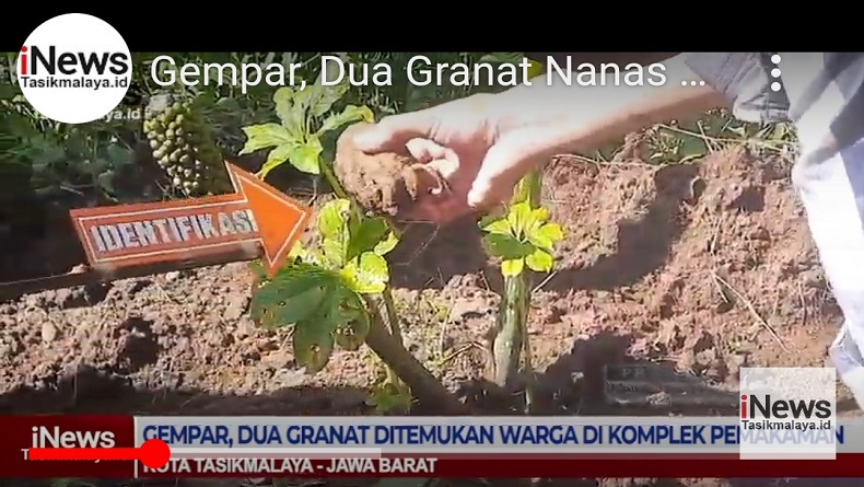 Petani Porang di Tasikmalaya Temukan 2 Granat saat Panen, Untung Tak Terbentur Cangkul