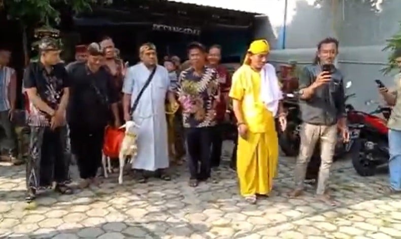 Viral Pria Gresik Menikah dengan Kambing, MUI Sebut Sesat dan Minta Pelakunya Bertaubat