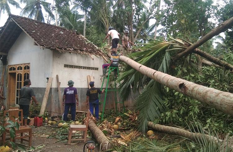 Dampak Hujan dan Angin Kencang, Puluhan Rumah Warga Kulonprogo Rusak Tertimpa Pohon
