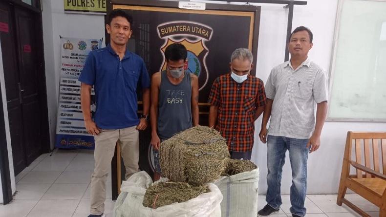 Polisi Tangkap Kurir Ganja 50 Kg di Pintu Tol Tebingtinggi, 2 Orang Diamankan