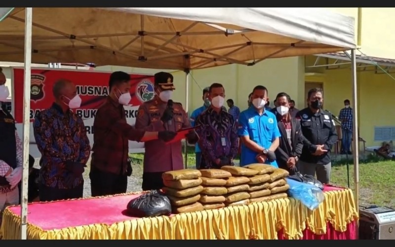 Polisi Temukan dan Bakar 25 Kg Ganja di OKI, Pemilik Masih Dikejar